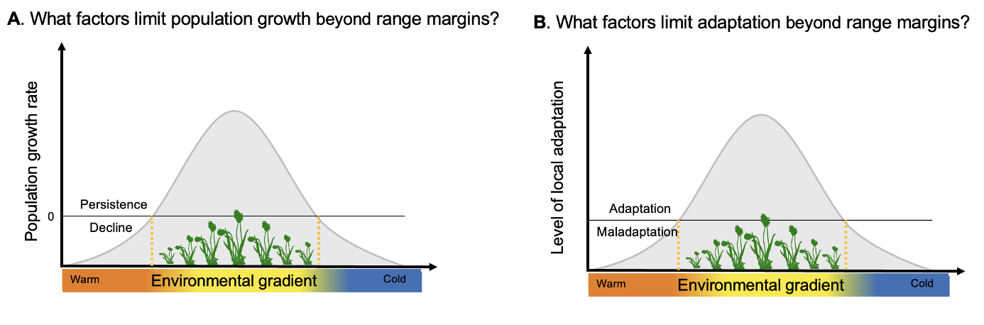 Range margin